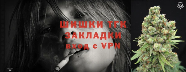 дмт Арсеньев