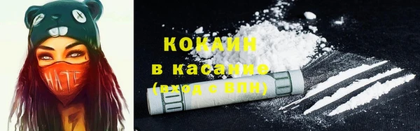 дмт Арсеньев