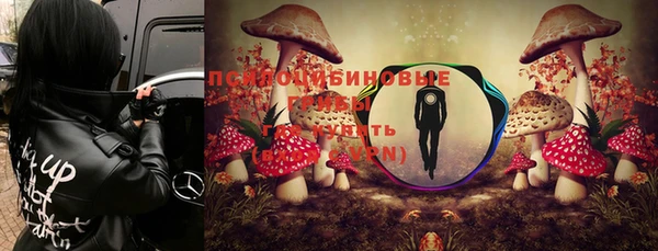 дмт Арсеньев