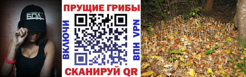 Галлюциногенные грибы мухоморы  Дмитров 