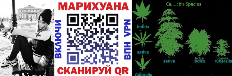 дарнет шоп  Дмитров  Бошки Шишки индика 